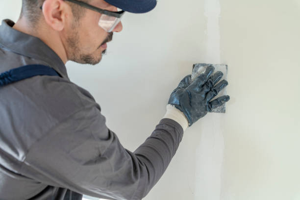 Best Mold Prevention Services  in Converse, IN