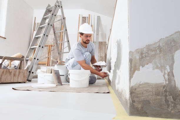 Best Mold Odor Removal Services  in Converse, IN