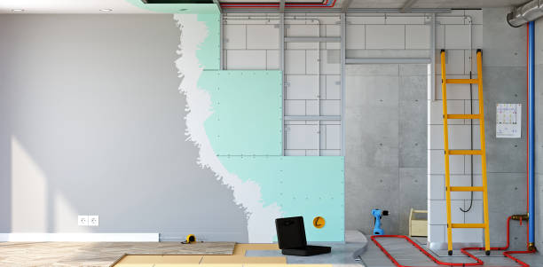 Best Basement Mold Removal  in Converse, IN