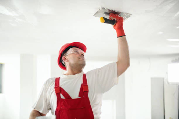 Professional Mold Removal in Converse, IN