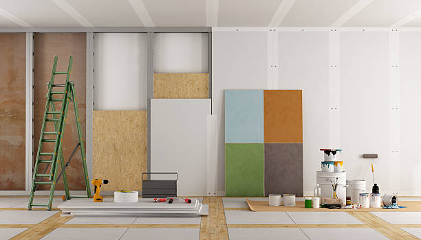Best Mold Damage Restoration  in Converse, IN