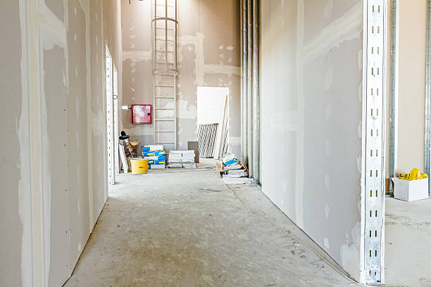 Best Environmental Consulting for Mold Prevention  in Converse, IN